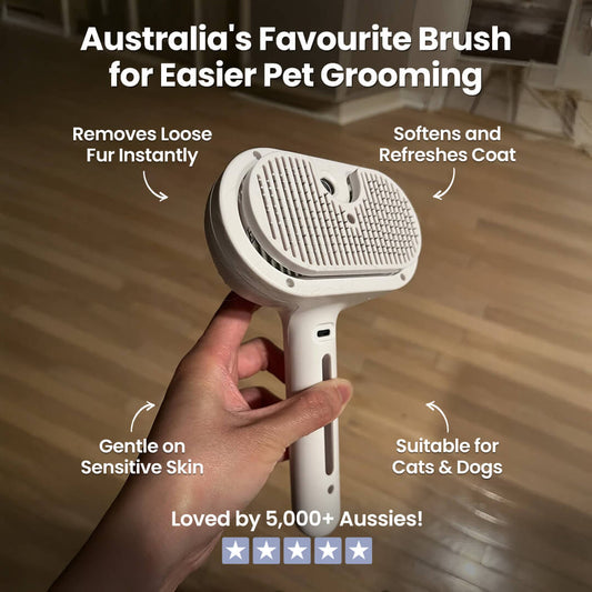 PuriFur™ Premium Pet Steam Brush