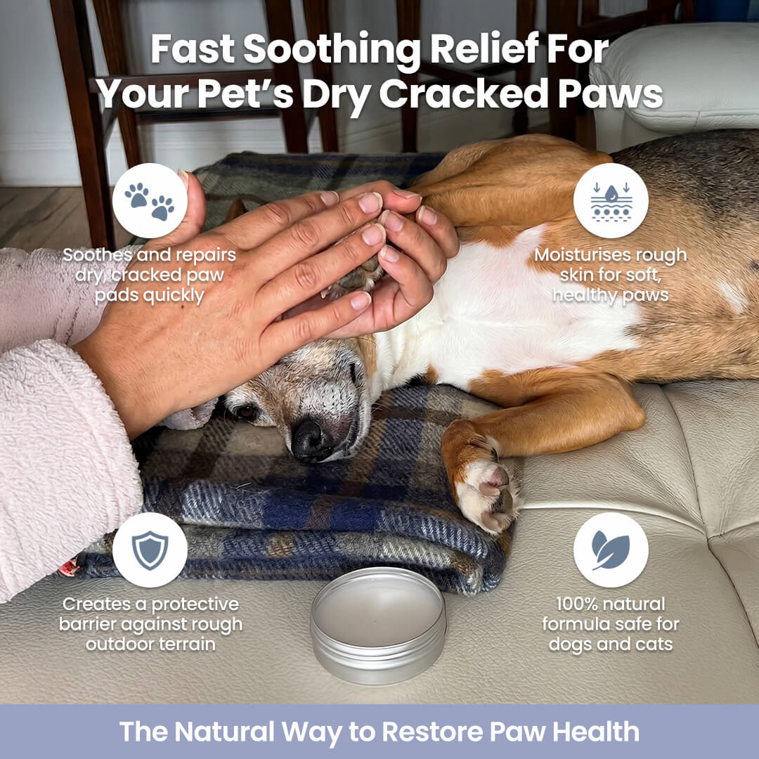 PuriFur™ Paw Restore Balm