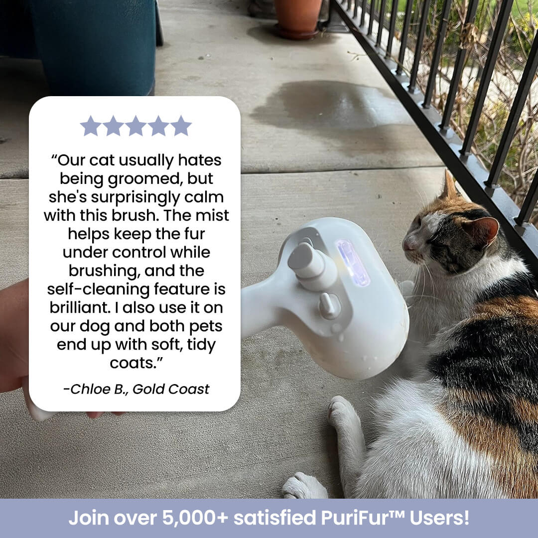PuriFur™ Premium Pet Steam Brush