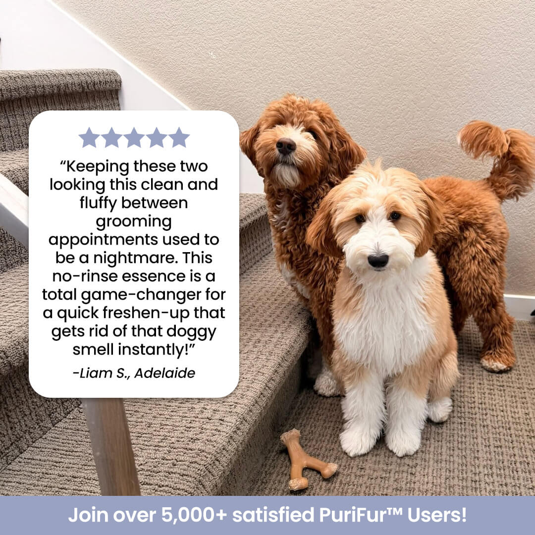 PuriFur™ Wash-Free Pet Essence