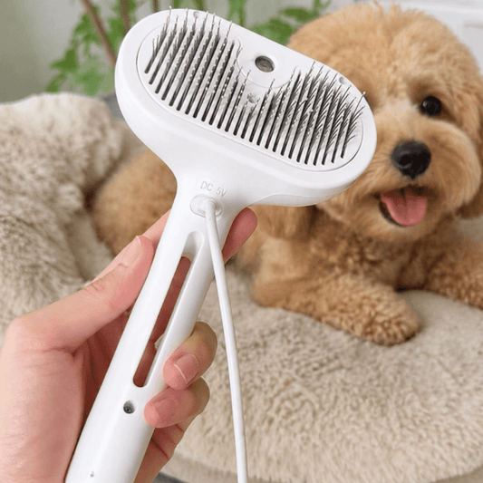 PuriFur™ Premium Pet Steam Brush